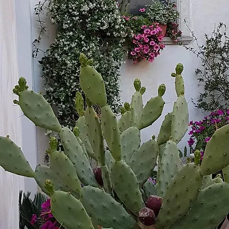 Bed & Breakfast Palazzo Volta Boutique Luxury B&B 4*