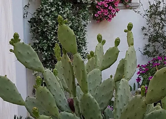 ベッド・アンド・ブレックファスト Palazzo Volta Boutique Luxury 4*